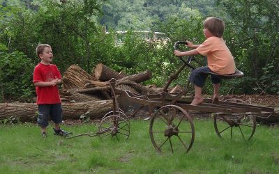 Kinderparadies_Ferienhof_Schmidt-Ankum-10