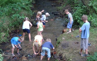 Kinderparadies_Ferienhof_Schmidt-Ankum2